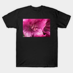 Pink flower close-up T-Shirt